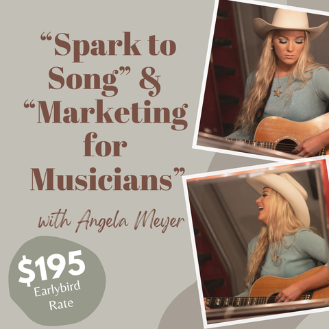 Workshops for Musicians: Songwriting & Marketing